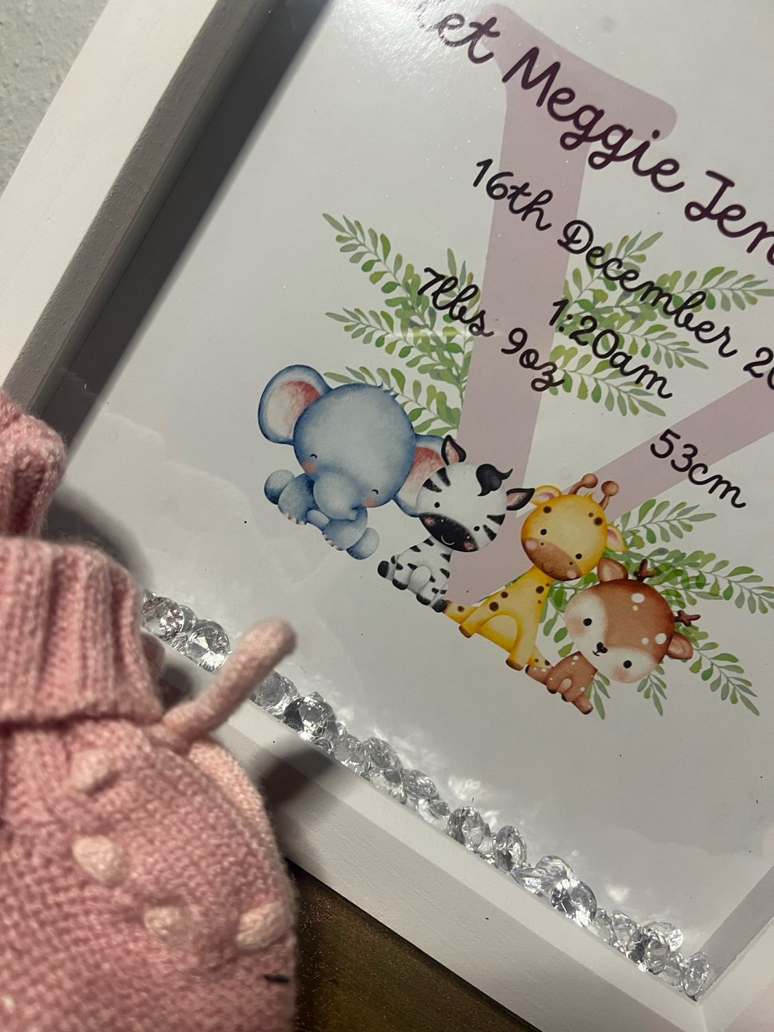 Baby Animal Birth Announcement Box Frame Gift