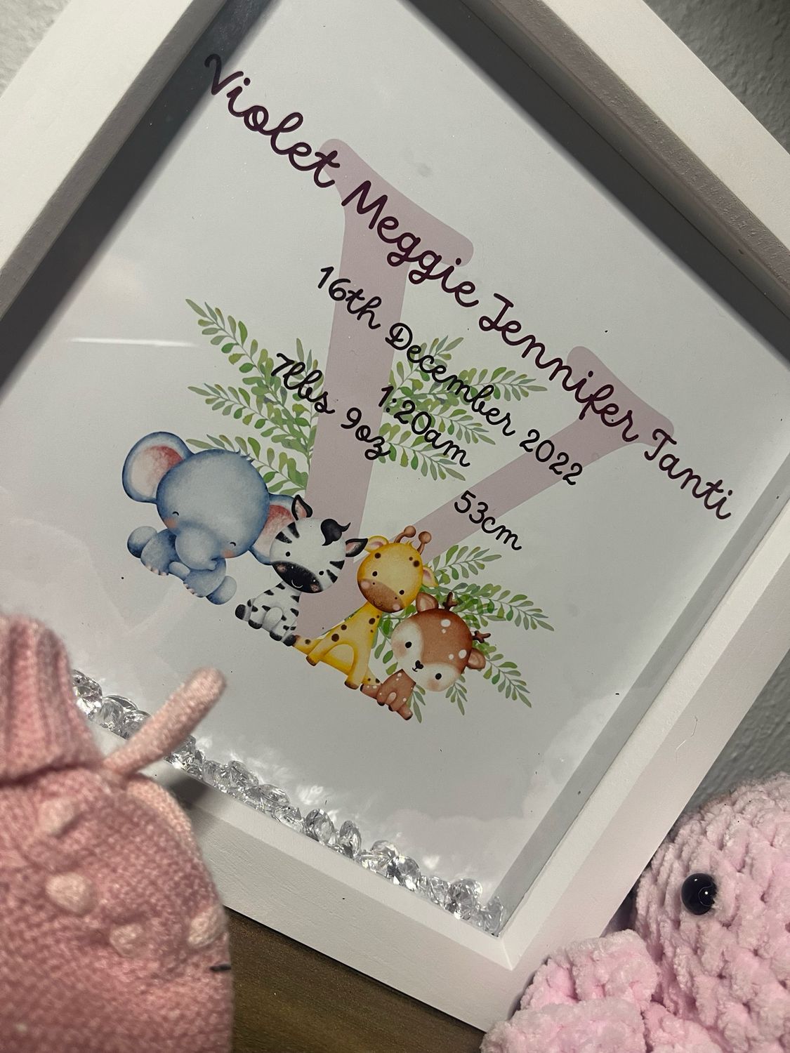 Baby Animal Birth Announcement Box Frame Gift