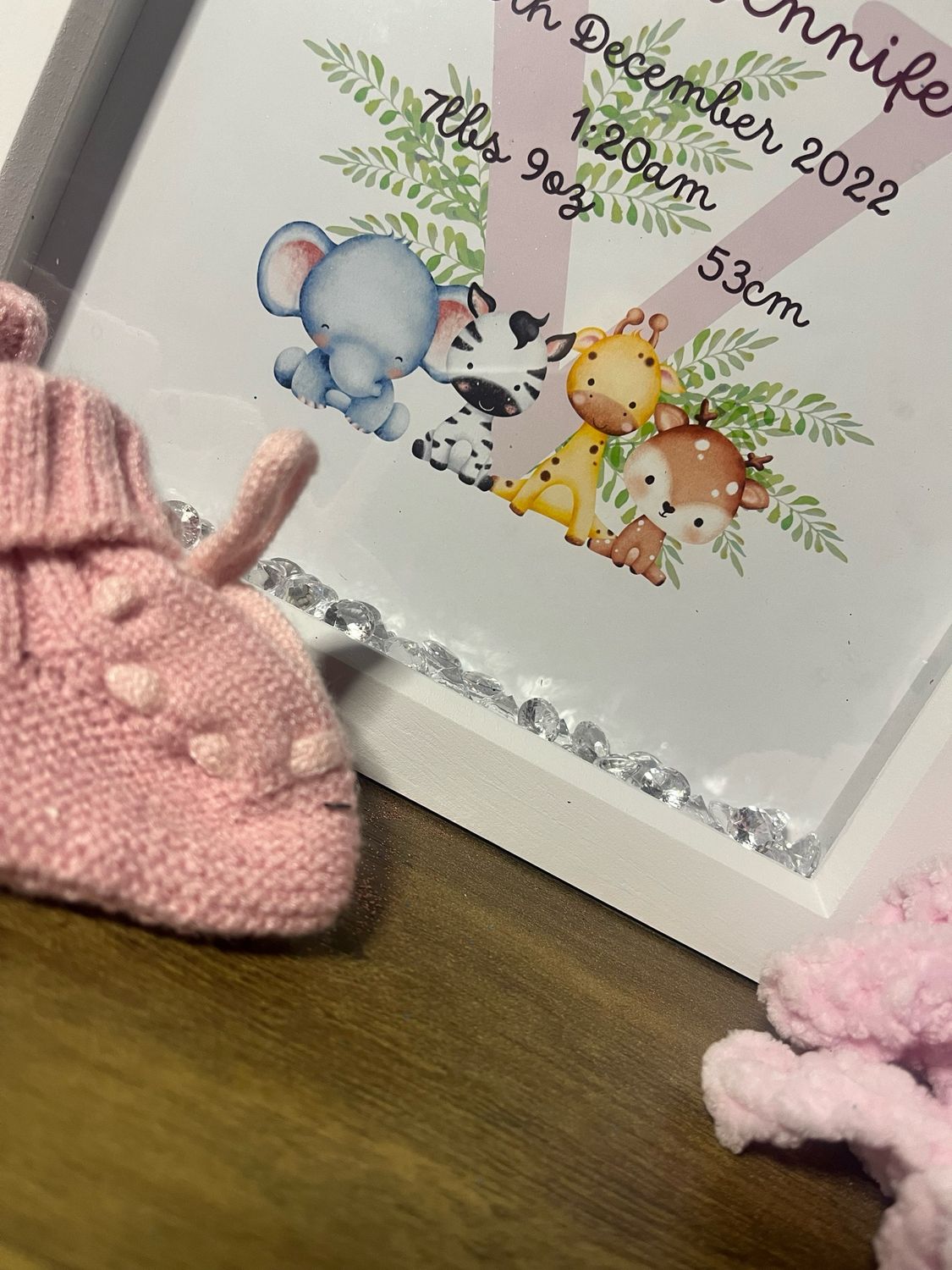 Baby Animal Birth Announcement Box Frame Gift